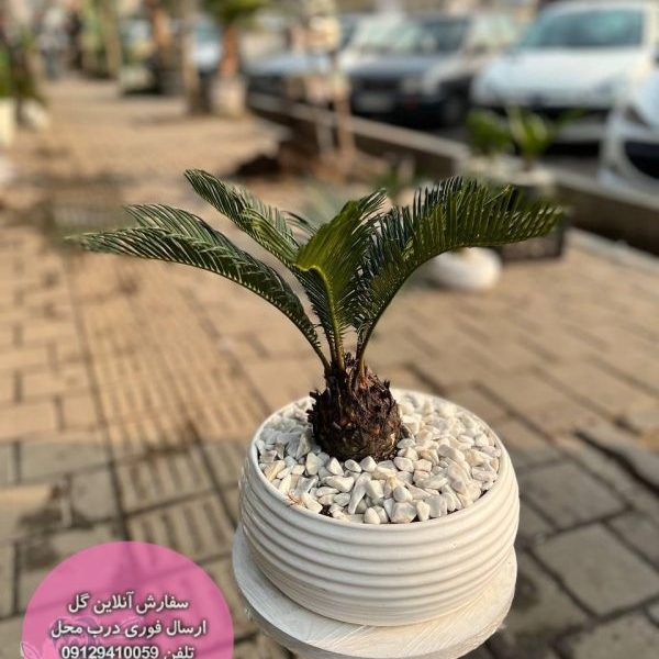 سبد گل تبریک کد 4048 – گل اور