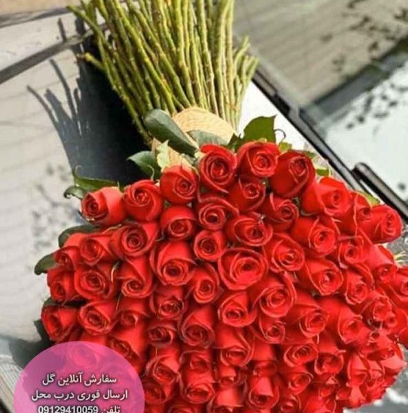 دسته گل 100 شاخه ای رز هلندی ممتاز