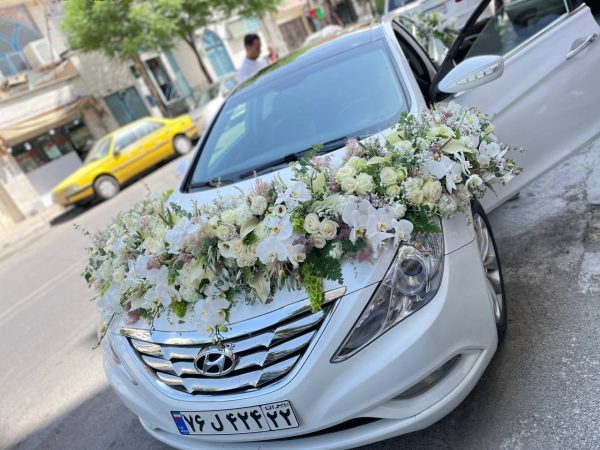 ماشین عروس لاکچری کد101
