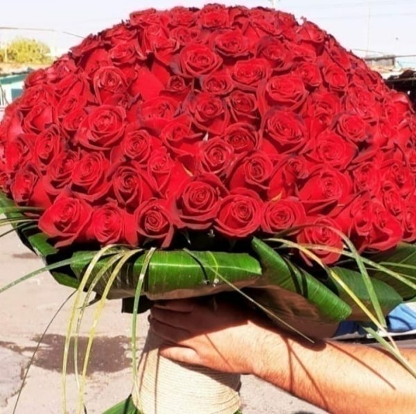 150شاخه رز هلندی