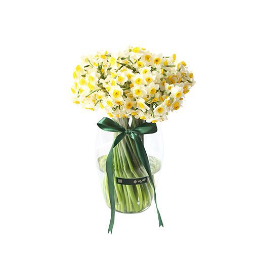 گلدان شیشه‌ای نرگس ۷۰ شاخه