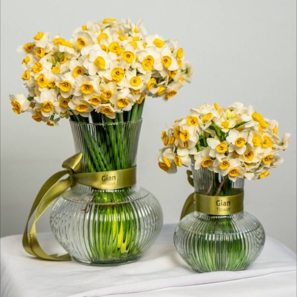 گلدان شیشه ای نرگس ۷۵ شاخه