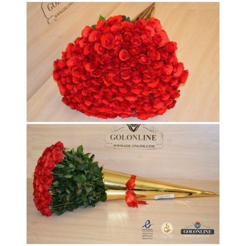 مخروط طلایی با ۱۵۰شاخه رز ایرانی