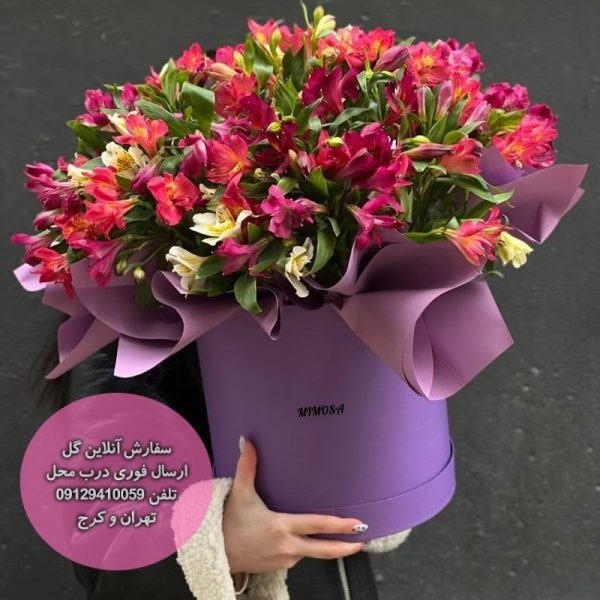 تصویه کننده هوا