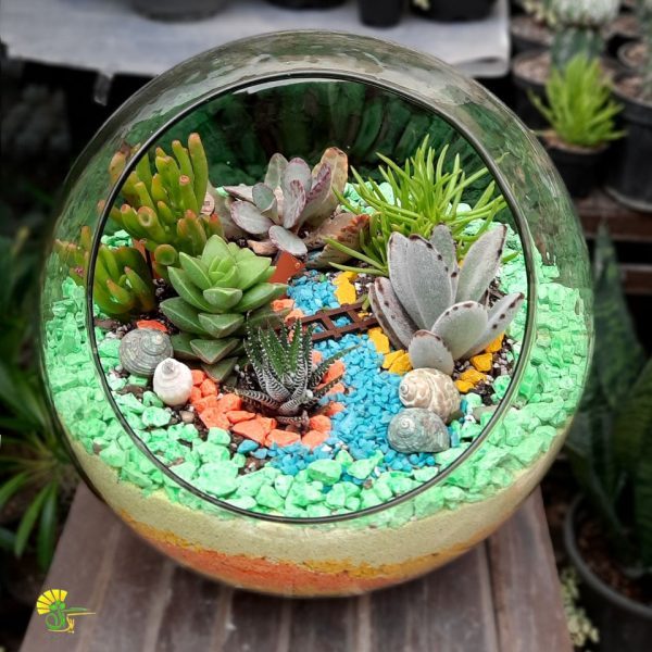باغ شیشه ای کد 2
