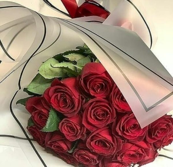20 شاخه رز هلندی