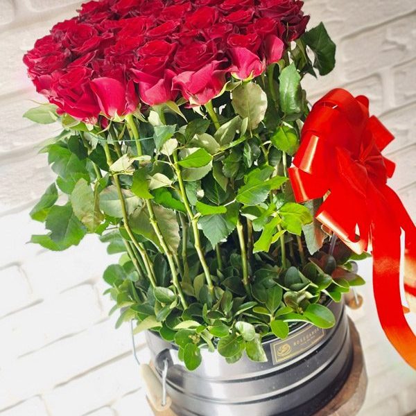 بایگانی‌های سبد گل تولد