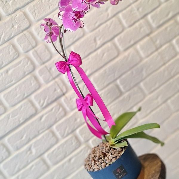 باکس گل یک‌طرفه طرح الهام