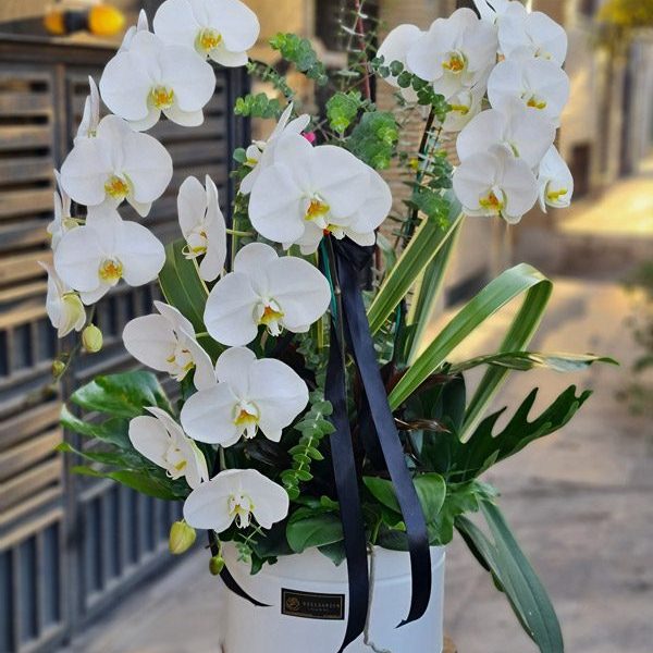گلدان ارکیده 3 شاخه کد 578 - گل فروشی آنلاین رزگاردن