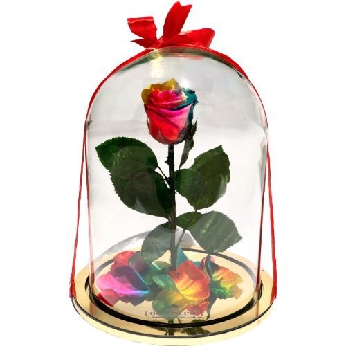 سبد گل تبریک کد 4041 – گل اور