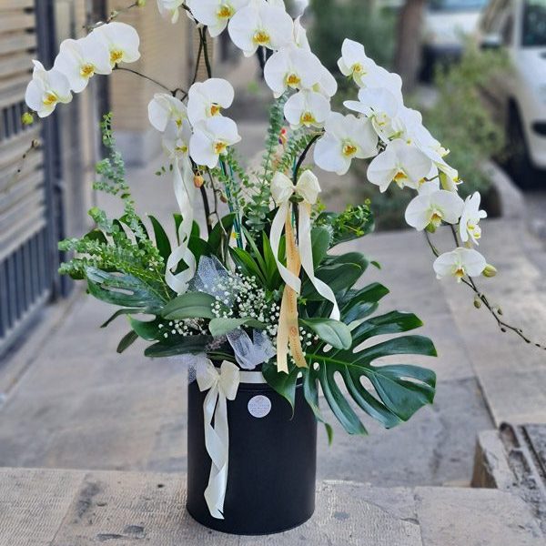 گلدان ارکیده 4 شاخه کد 586 - گل فروشی آنلاین رزگاردن