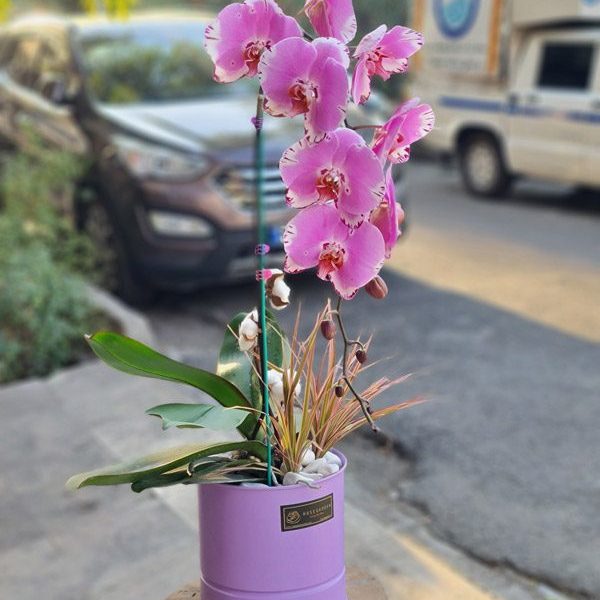 گلدان ارکیده کد 553 - گل فروشی آنلاین رزگاردن