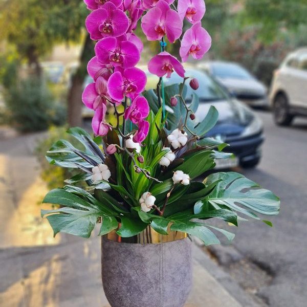 گلدان ارکیده لاکچری کد 567 - گل فروشی آنلاین رزگاردن