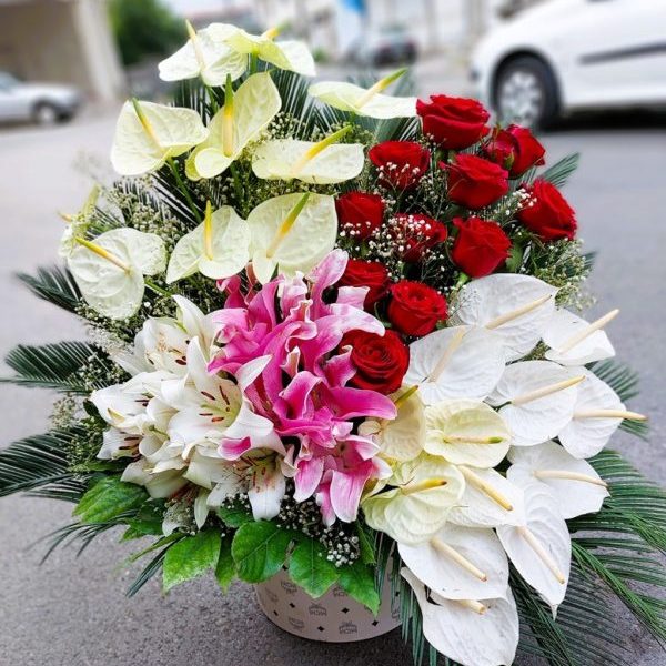 سبد گل تبریک کد 7059 - ✔️گل فروشی آنلاین گل شمال ایران ، خرید اینترنتی گل های طبیعی ، ارسال گل در سریعترین زمان ، سفارش گل با بهترین کیفیت