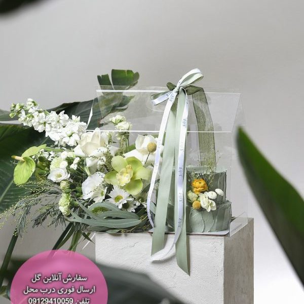 کیف گل و کیک ویژه روز مرد با تم سبز - سیلیس