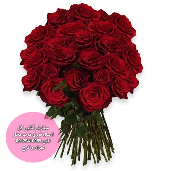 36 رز قرمز
